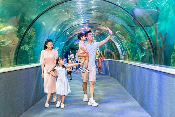  Thủy cung Vinpearl Aquarium được ví như một đại dương thu nhỏ ngay giữa lòng thủ đô