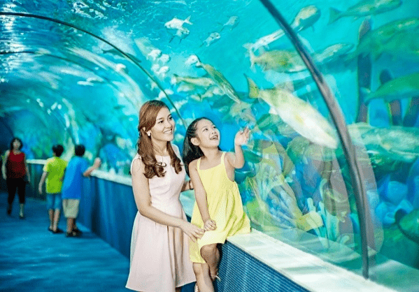 Times City Aquarium is known as a miniature ocean in the heart of the capital 